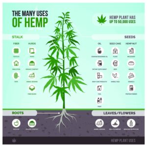 50,000 hemp plant uses - many uses of hemp - cannabis sativa