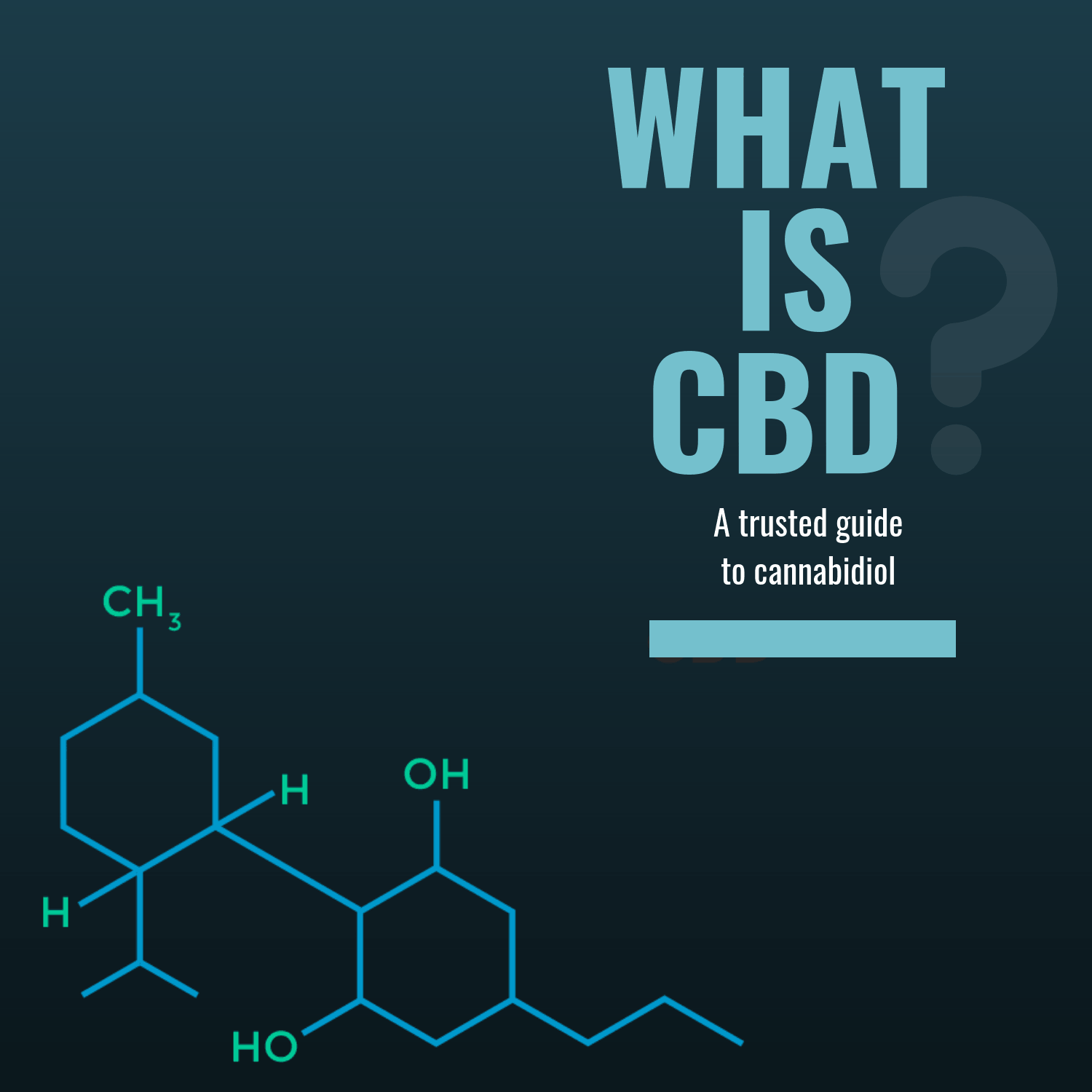 Read more about the article What is CBD? 2019