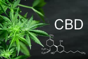 cbd molecule - cannabis plant