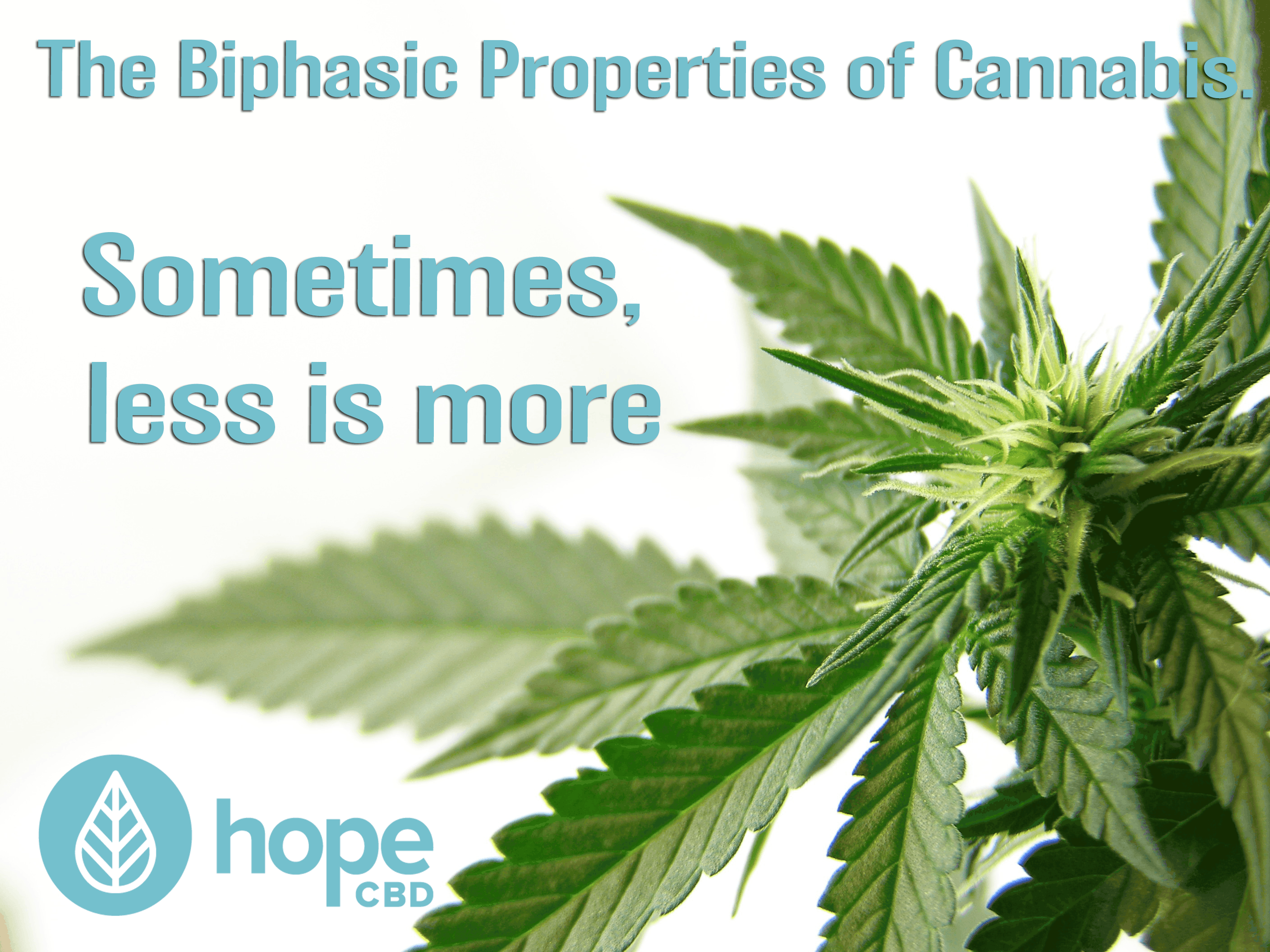 Read more about the article CBD Dosing – Biphasic Properties of Cannabidiol