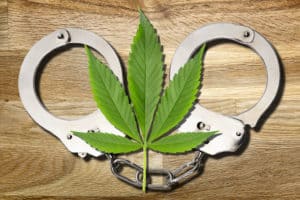 Cannabis prohibition - cannabis leaves and handcuffs