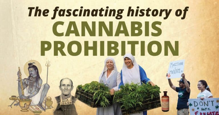 The history of Cannabis prohibition – The last 100 years