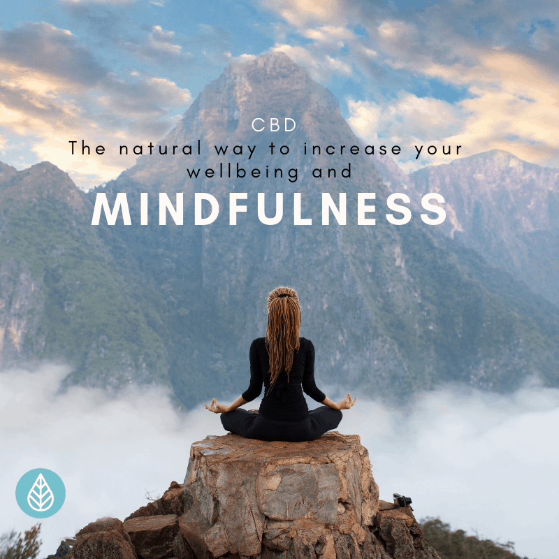 Read more about the article Mindfulness and Well-being – Back to the Future